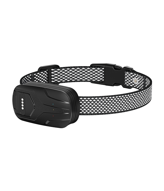 FurFence Collar